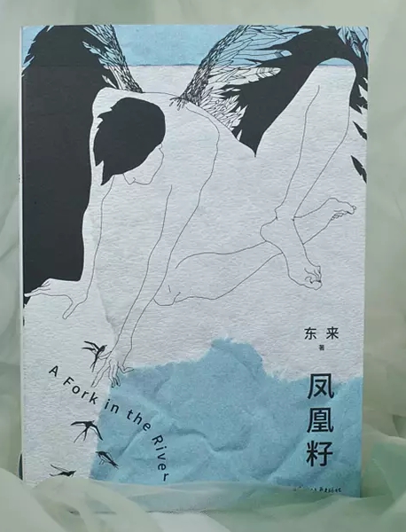 “怎样的生活值得一过？”：东来长篇小说《凤凰籽》新书分享回顾