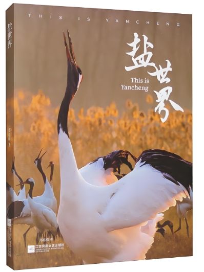 “书超”“苏超”联动，“十三太保”整活儿