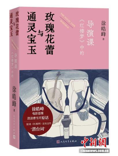 导演、编剧徐皓峰新作用拉片方式解读《红楼梦》